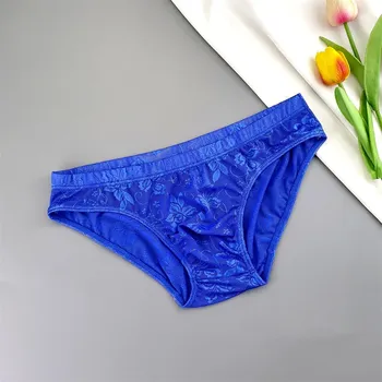 Brief Lingerie Lace Mesh 1